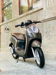 Honda Scoopy Stylish 2021  29D2-589.33