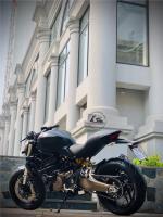 Ducati Monster 821  29A1-028.14