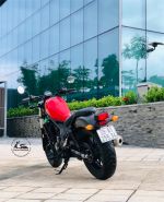 Honda Rebel 300 ABS  29A1-255.34