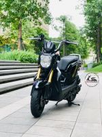 Honda Zoomer X 110cc  29H1-380.15