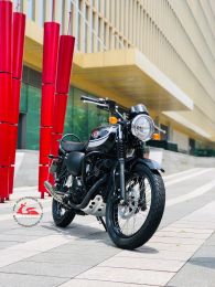 Kawasaki W175 SE 2020  29A1-125.31