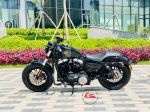 Harley Davidson Forty Eight   29A1-031.96