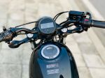 Honda Rebel 300 ABS  29A1-112.65