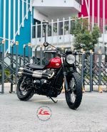 Triumph Street Scrambler 900cc  29A1-117.68