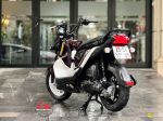 Honda Zoomer X 110cc  29C1-595.00