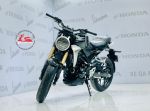 Honda CB 300R 2020  29A1-161.14