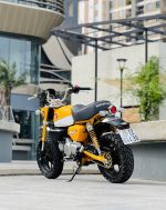Honda Monkey 125 2020 29E2-644.96