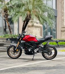Honda_CB_300R 2021 29A1-398.61