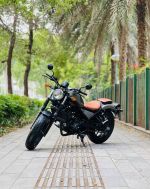 Honda Rebel 300 2018 98A1-005.39