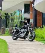 Harley Davidson Superlow 2019 883 29A1-376.44 