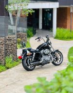Harley Davidson Superlow 2019 883 29A1-376.44 
