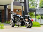 Harley Davidson Superlow 2019 883 29A1-376.44 