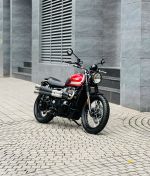 Triumph Scambler 900 2017 20AA-653.37