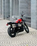 Triumph Scambler 900 2017 20AA-653.37