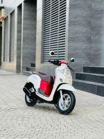 Honda Scoopy 110 2019 29B2-024.00