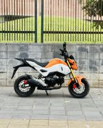 Honda MSX 125 2019 thu hồi biển