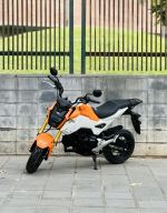 Honda MSX 125 2019 thu hồi biển